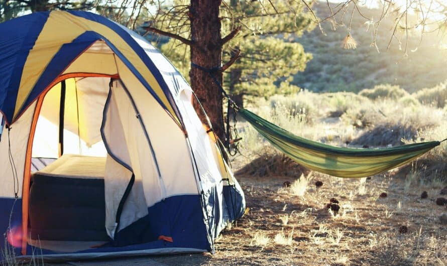 Tout ce qu’il faut savoir sur le camping à Dijon