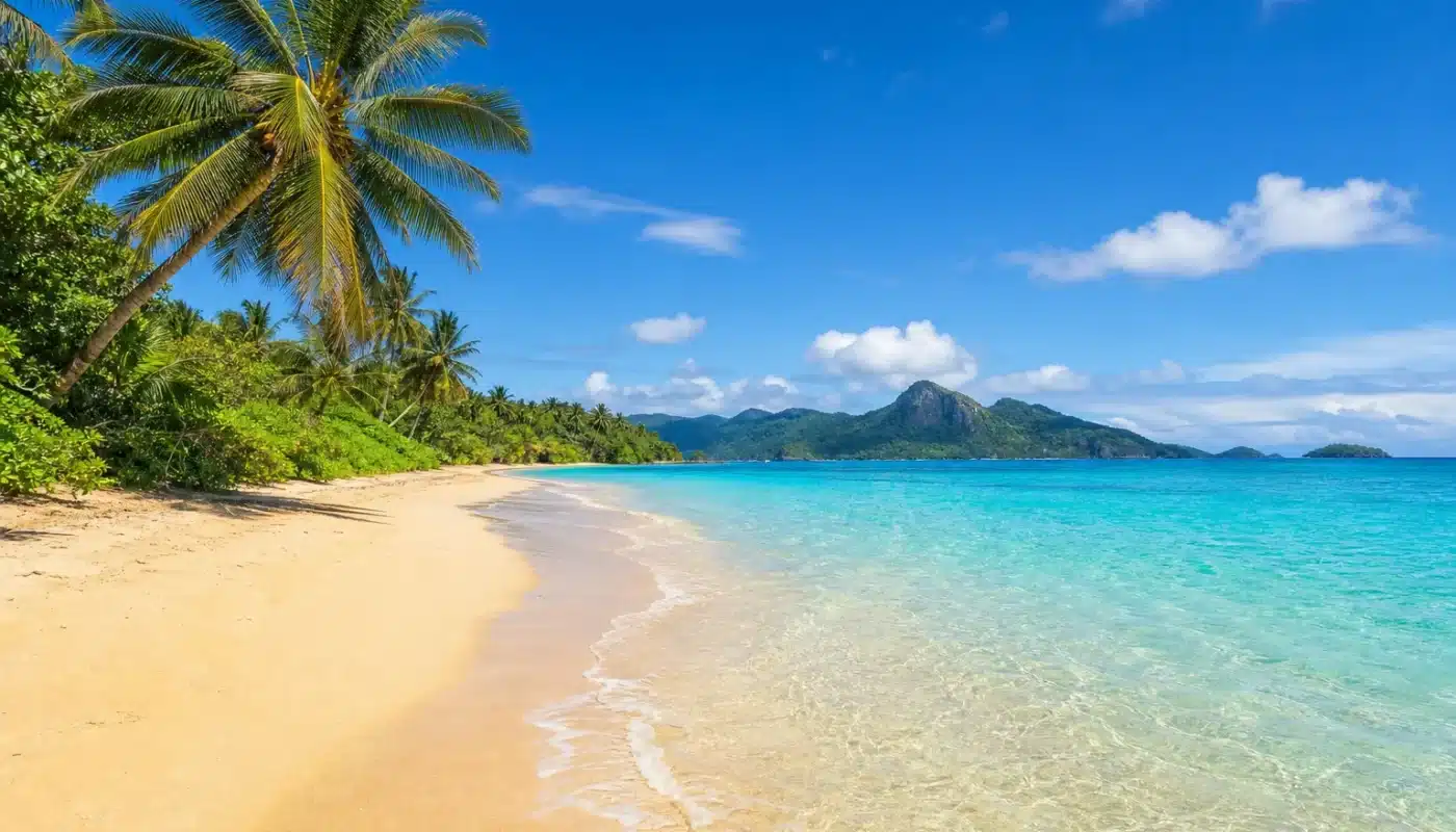 Climats ensoleillés pour vacances de novembre en destinations chaudes