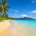 Climats ensoleillés pour vacances de novembre en destinations chaudes