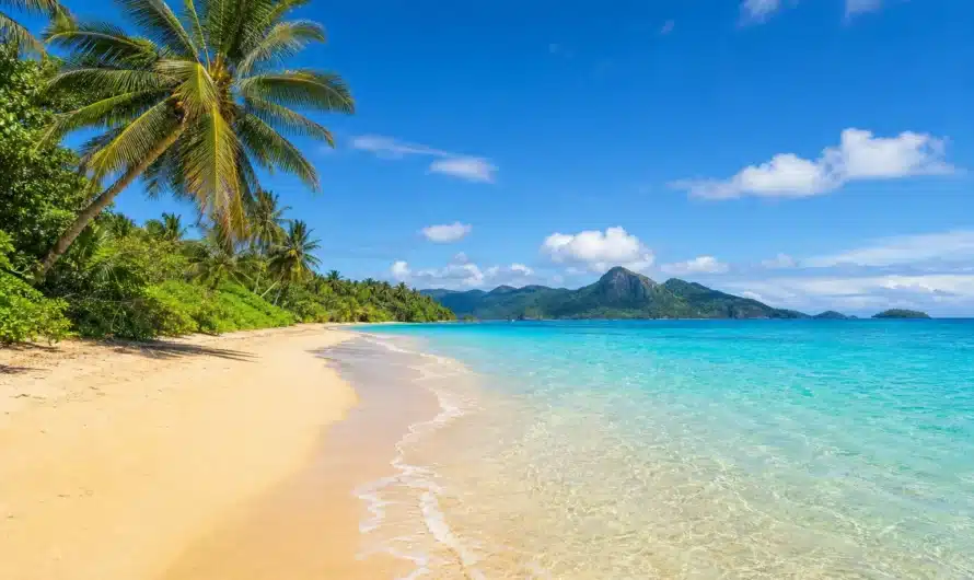 Climats ensoleillés pour vacances de novembre en destinations chaudes